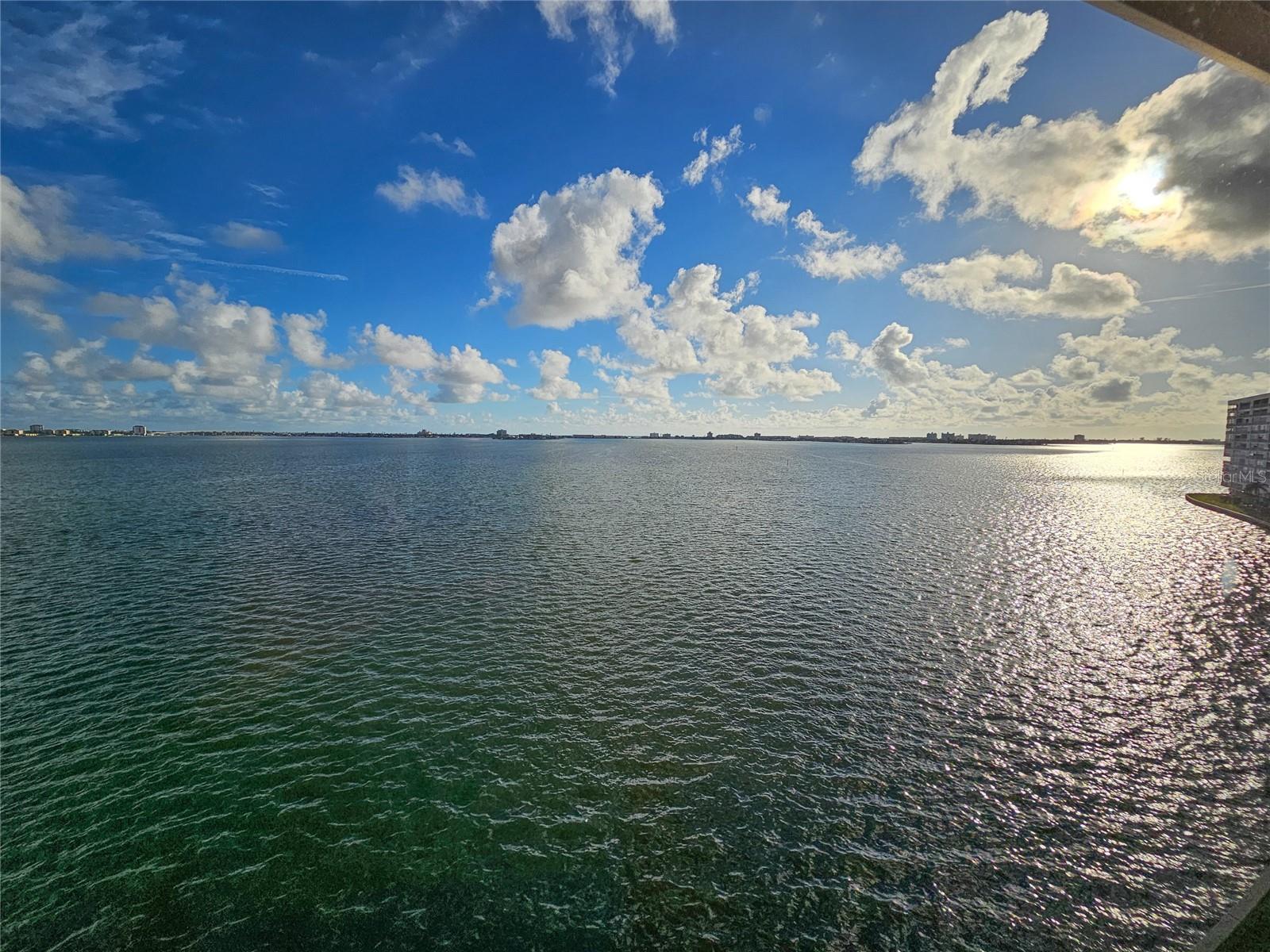 5980 SHORE BLVD S #808, GULFPORT, FL, 33707