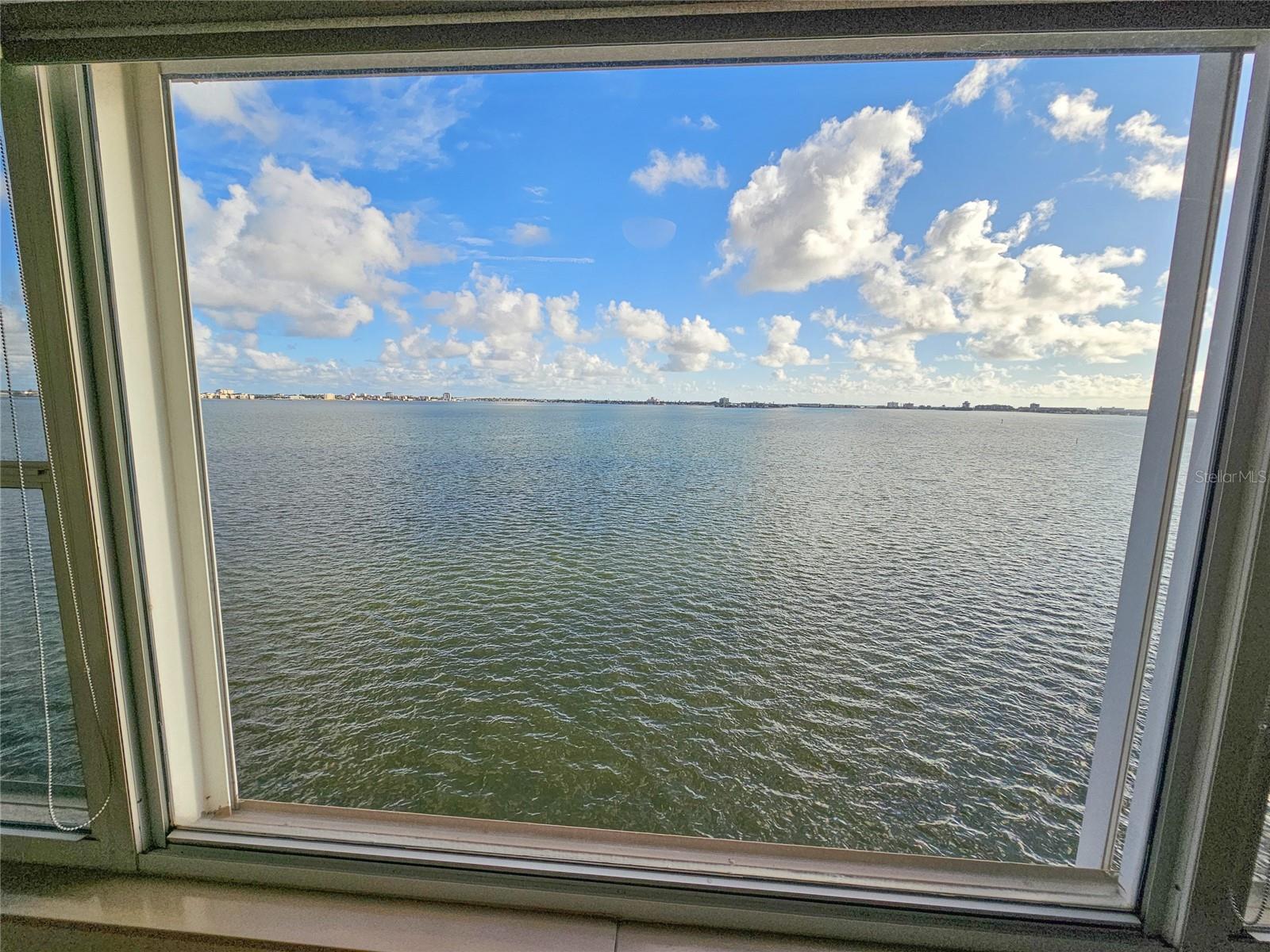 5980 SHORE BLVD S #808, GULFPORT, FL, 33707