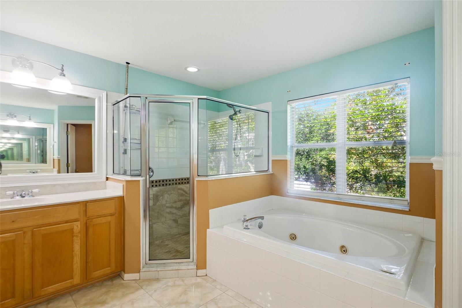 7310 BRIGHTWATER OAKS DR, TAMPA, FL, 33625