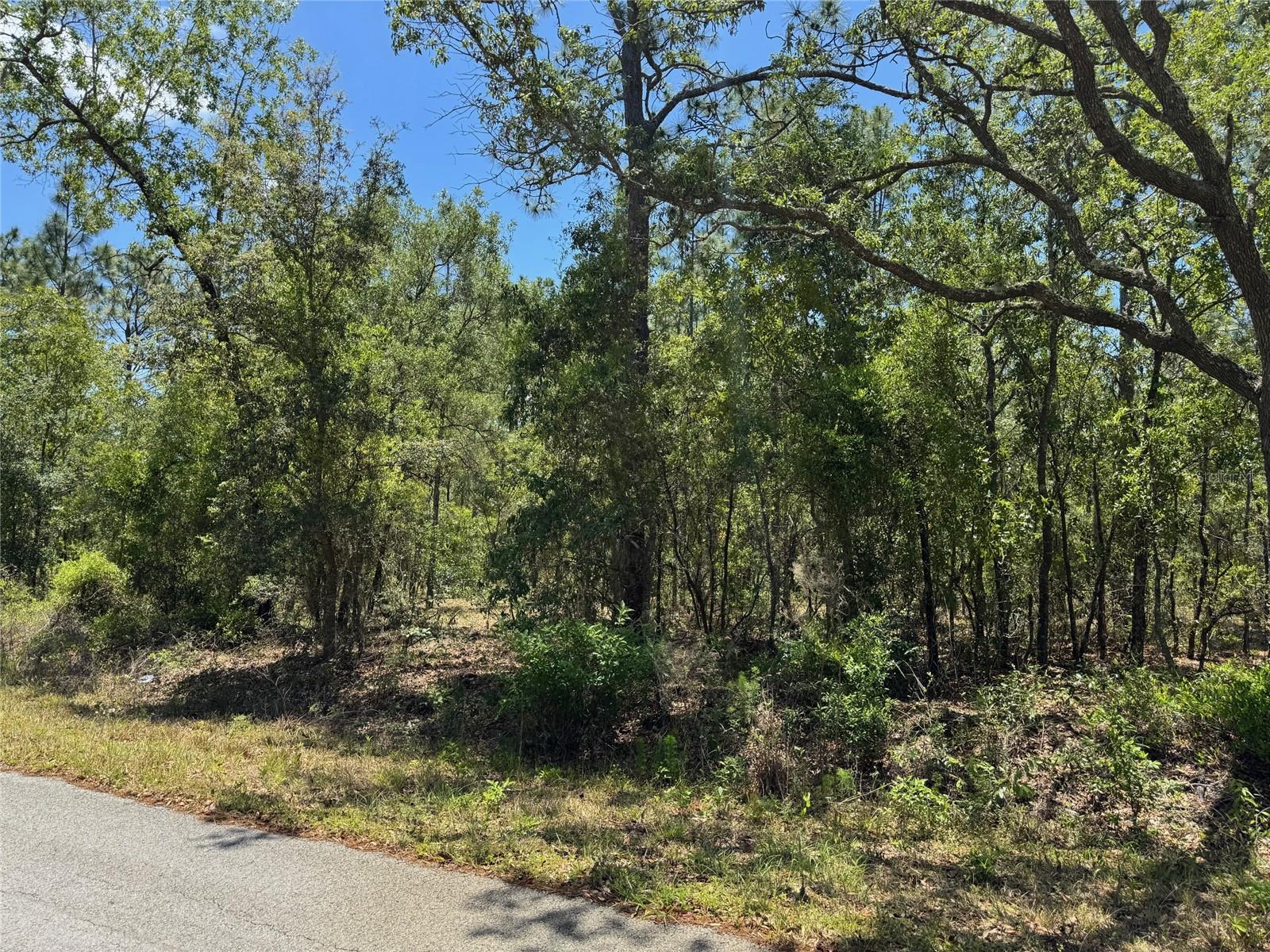 Lot 15 NW HILLSDALE AVE, DUNNELLON, FL, 34431