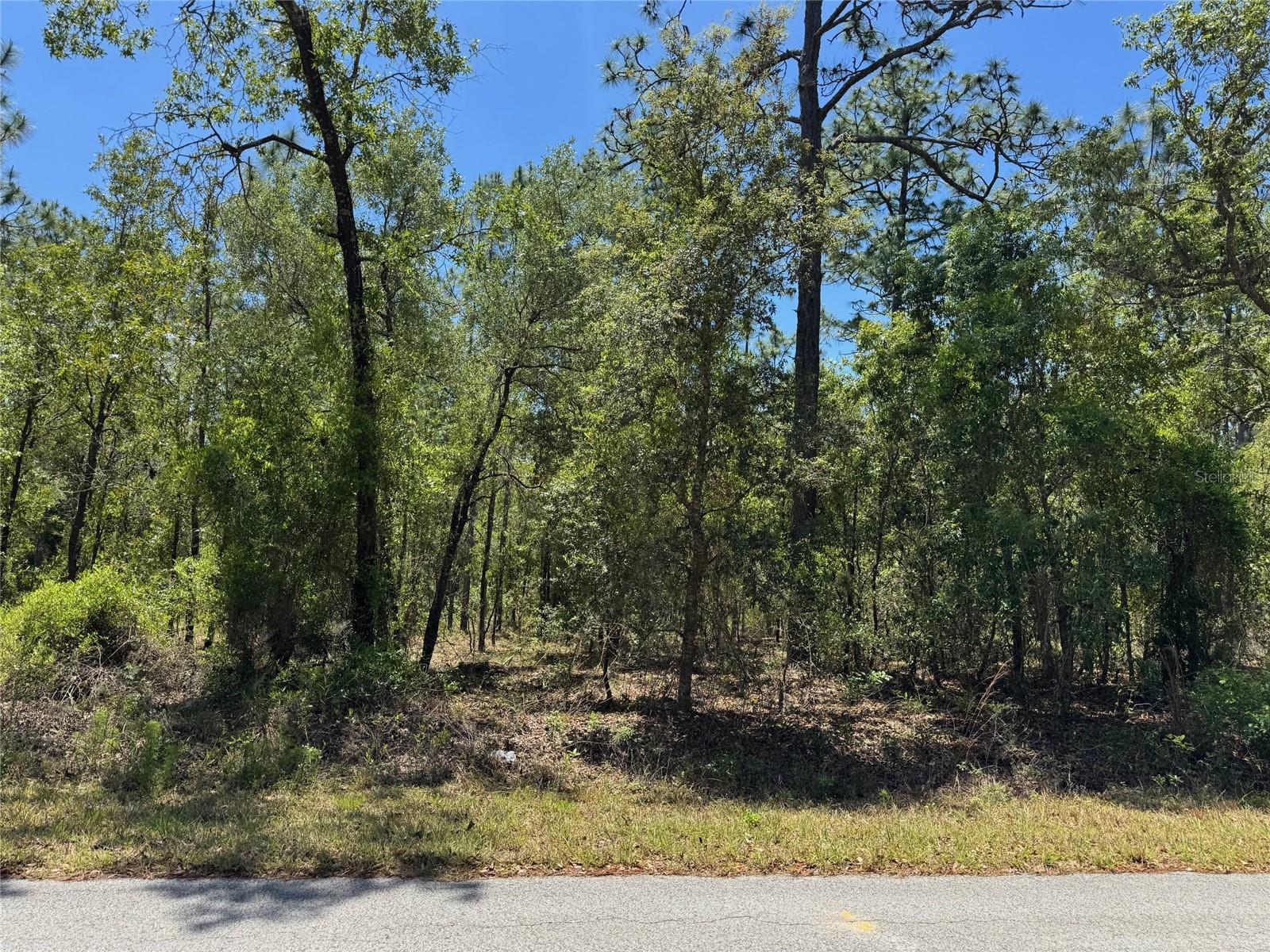 Lot 15 NW HILLSDALE AVE, DUNNELLON, FL, 34431
