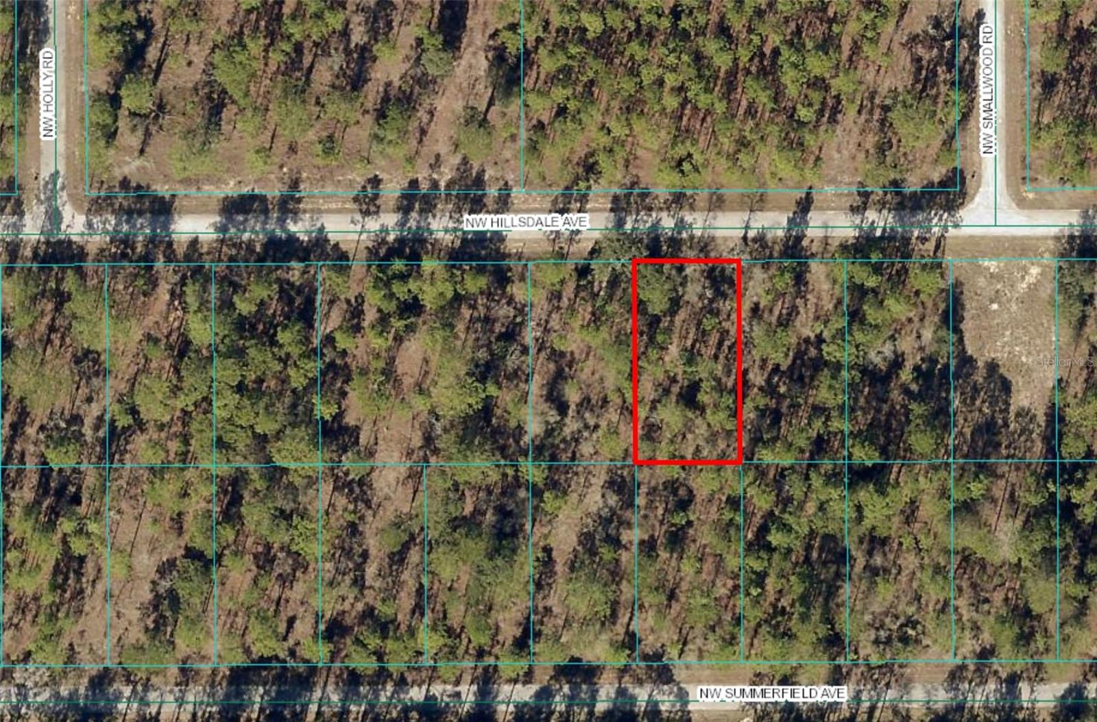 Lot 15 NW HILLSDALE AVE, DUNNELLON, FL, 34431