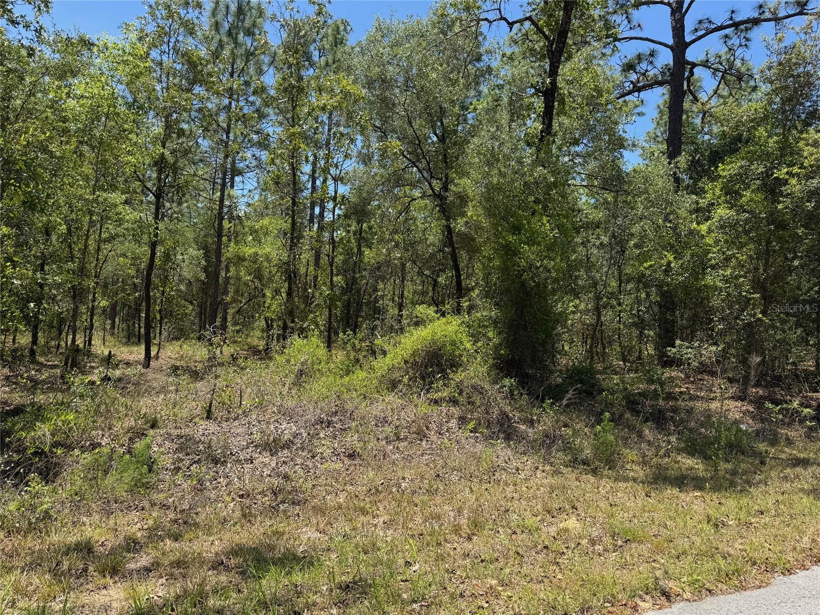 Lot 15 NW HILLSDALE AVE, DUNNELLON, FL, 34431