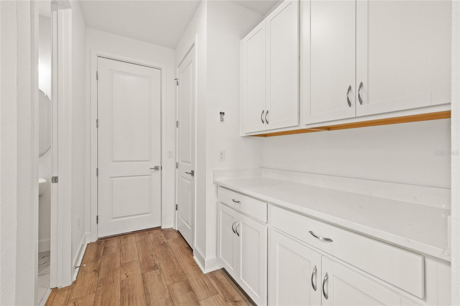 2019 WILD HERON CT, VALRICO, FL, 33596