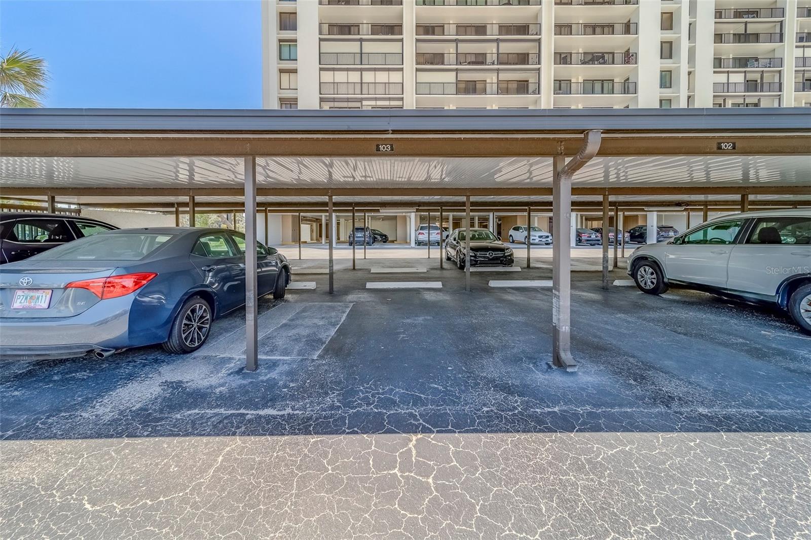 1460 GULF BLVD #305, CLEARWATER, FL, 33767