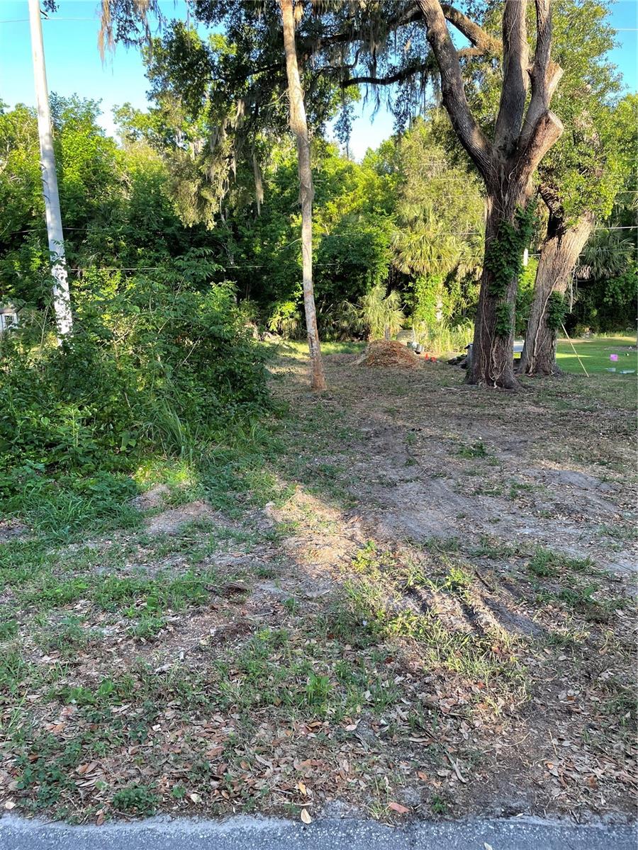 5320 PARK AVE, DE LEON SPRINGS, FL, 32130