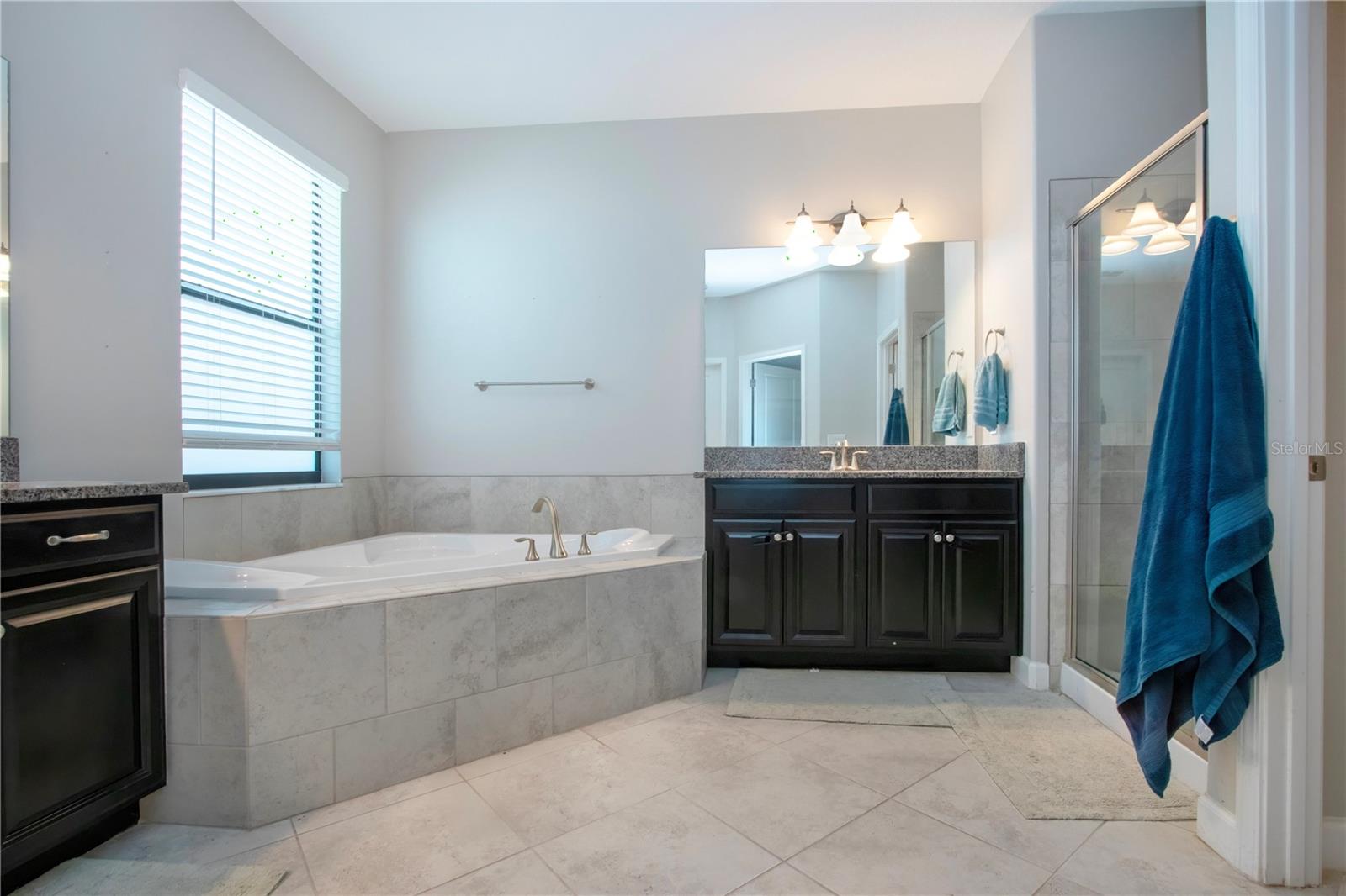 13651 ASHLAR SLATE PL, RIVERVIEW, FL, 33579