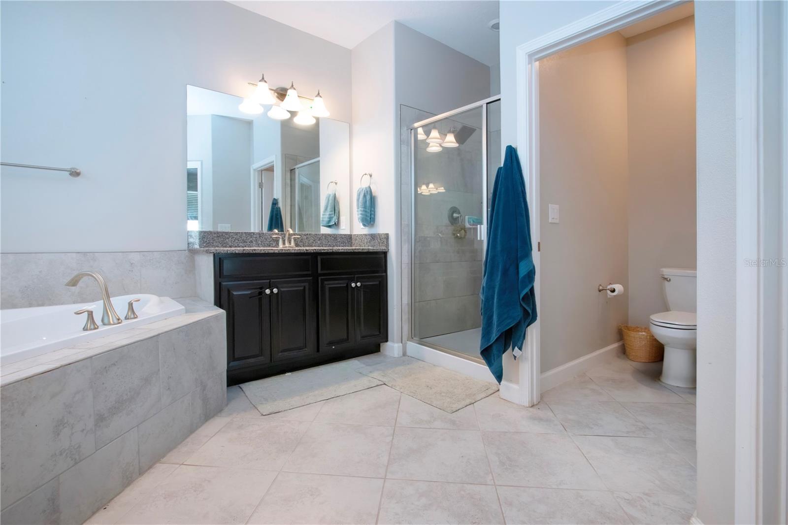 13651 ASHLAR SLATE PL, RIVERVIEW, FL, 33579