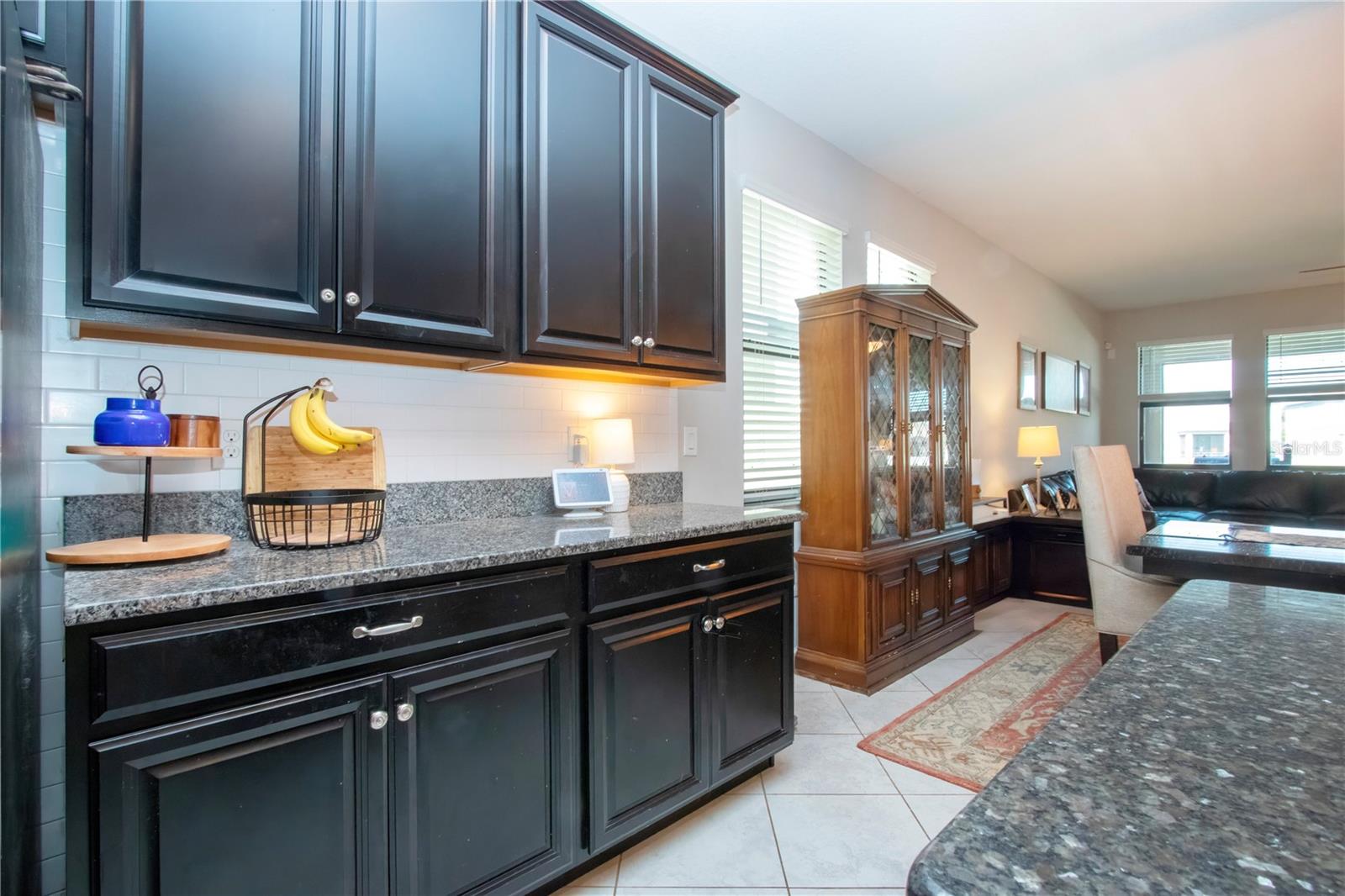 13651 ASHLAR SLATE PL, RIVERVIEW, FL, 33579