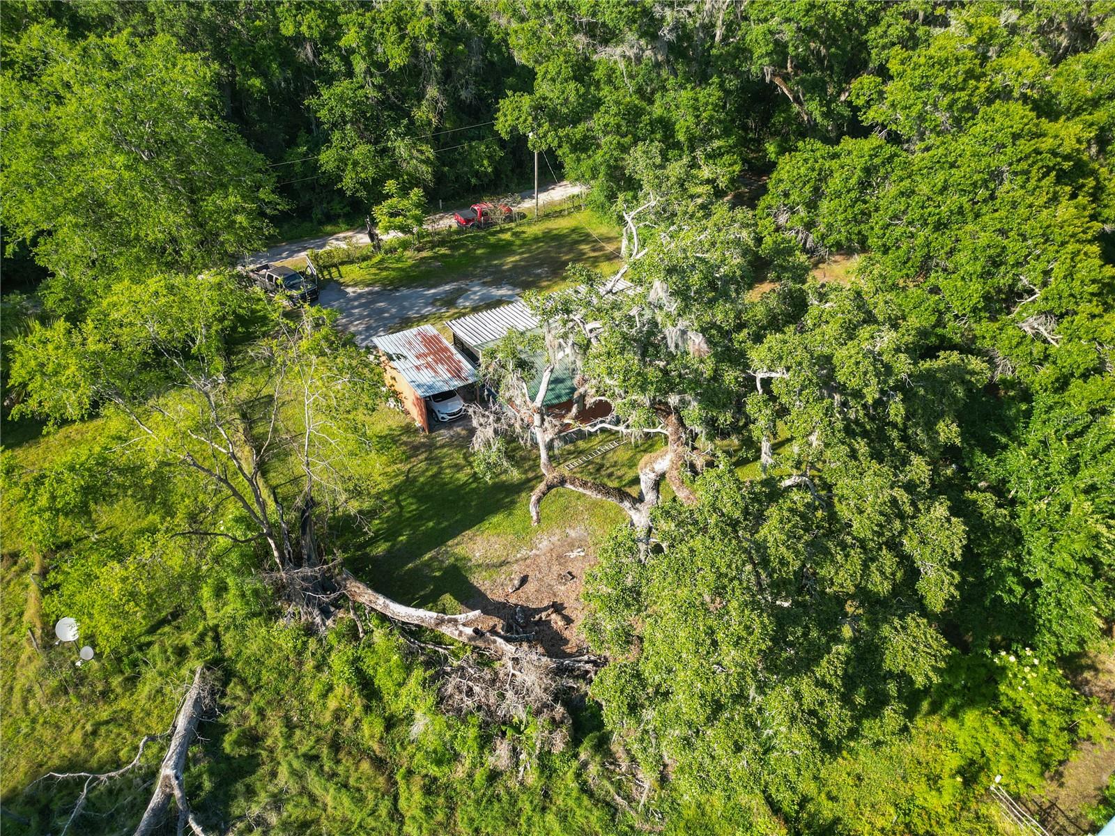 2045 SW 83RD PL, BUSHNELL, FL, 33513