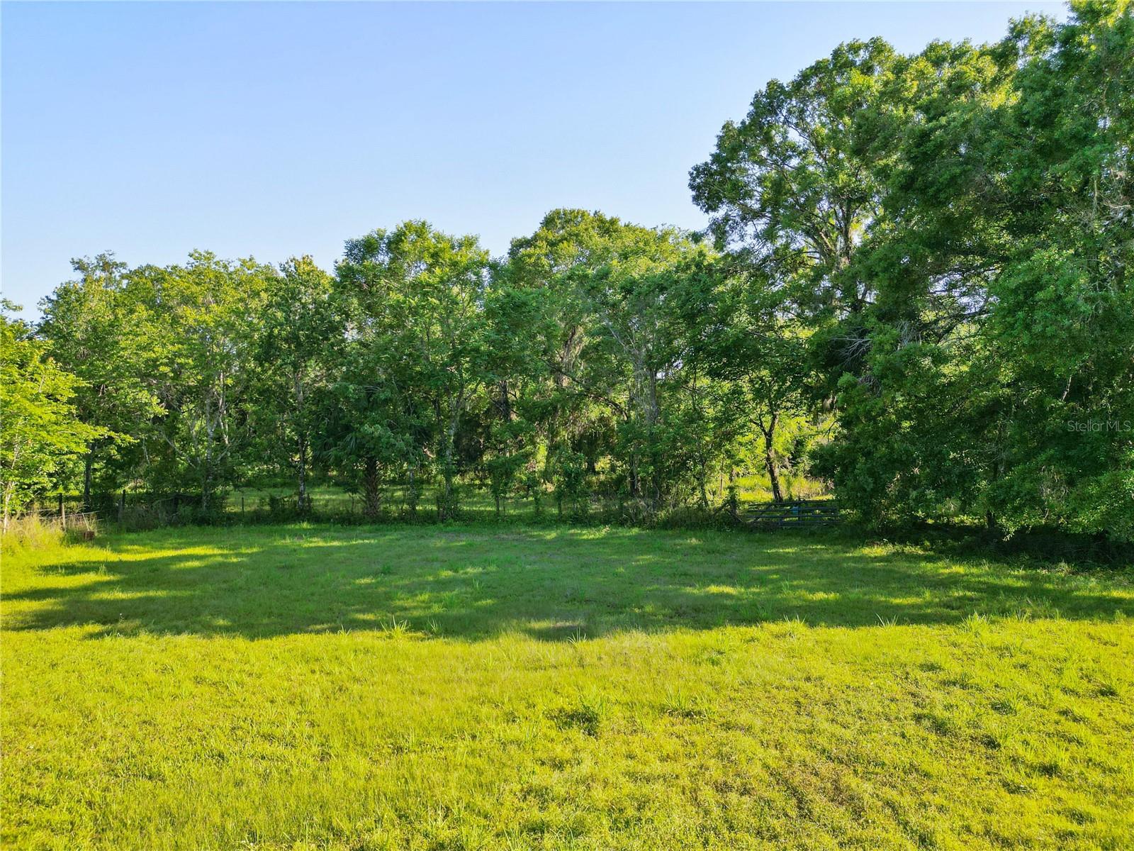 2045 SW 83RD PL, BUSHNELL, FL, 33513