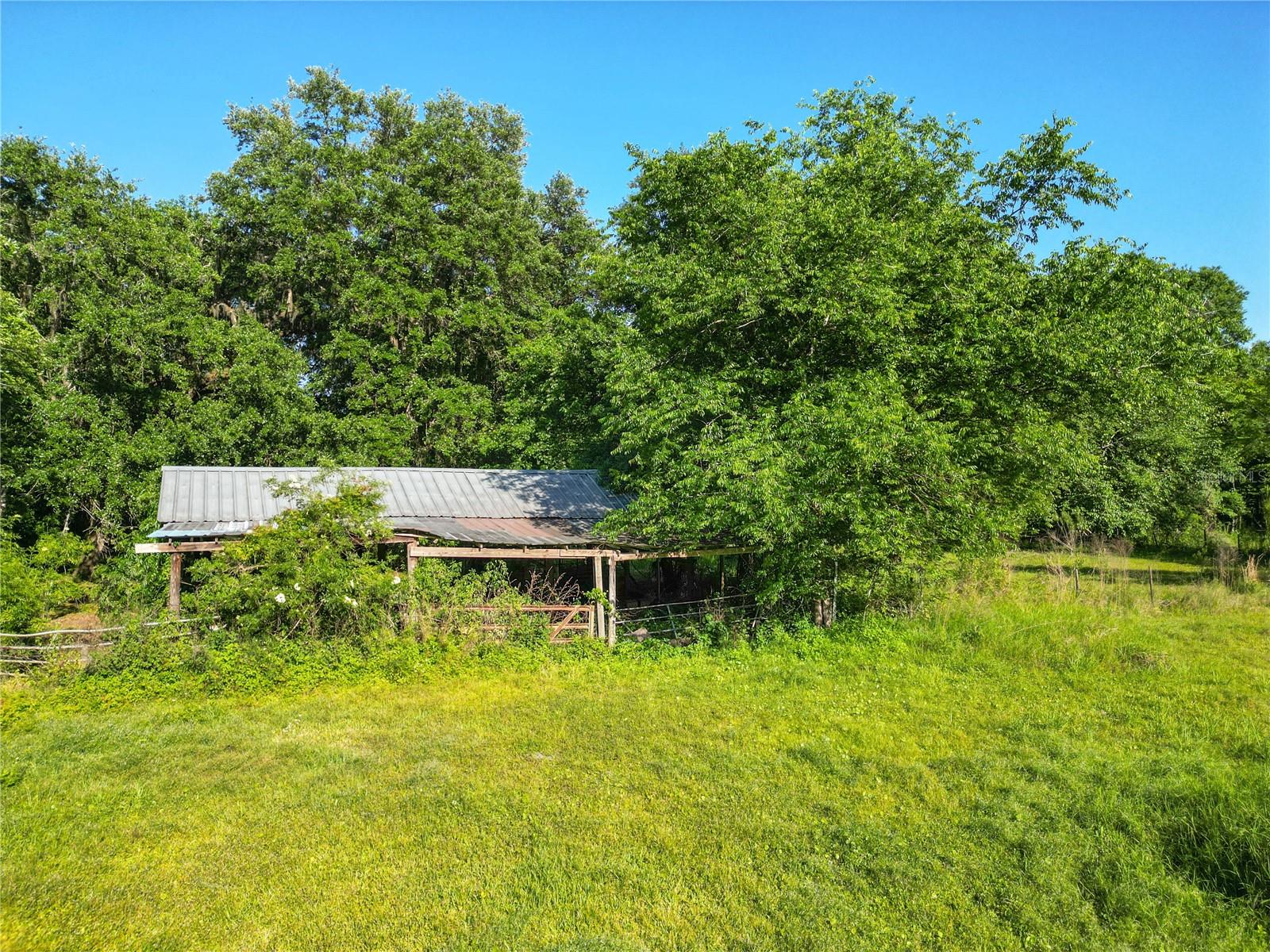 2045 SW 83RD PL, BUSHNELL, FL, 33513