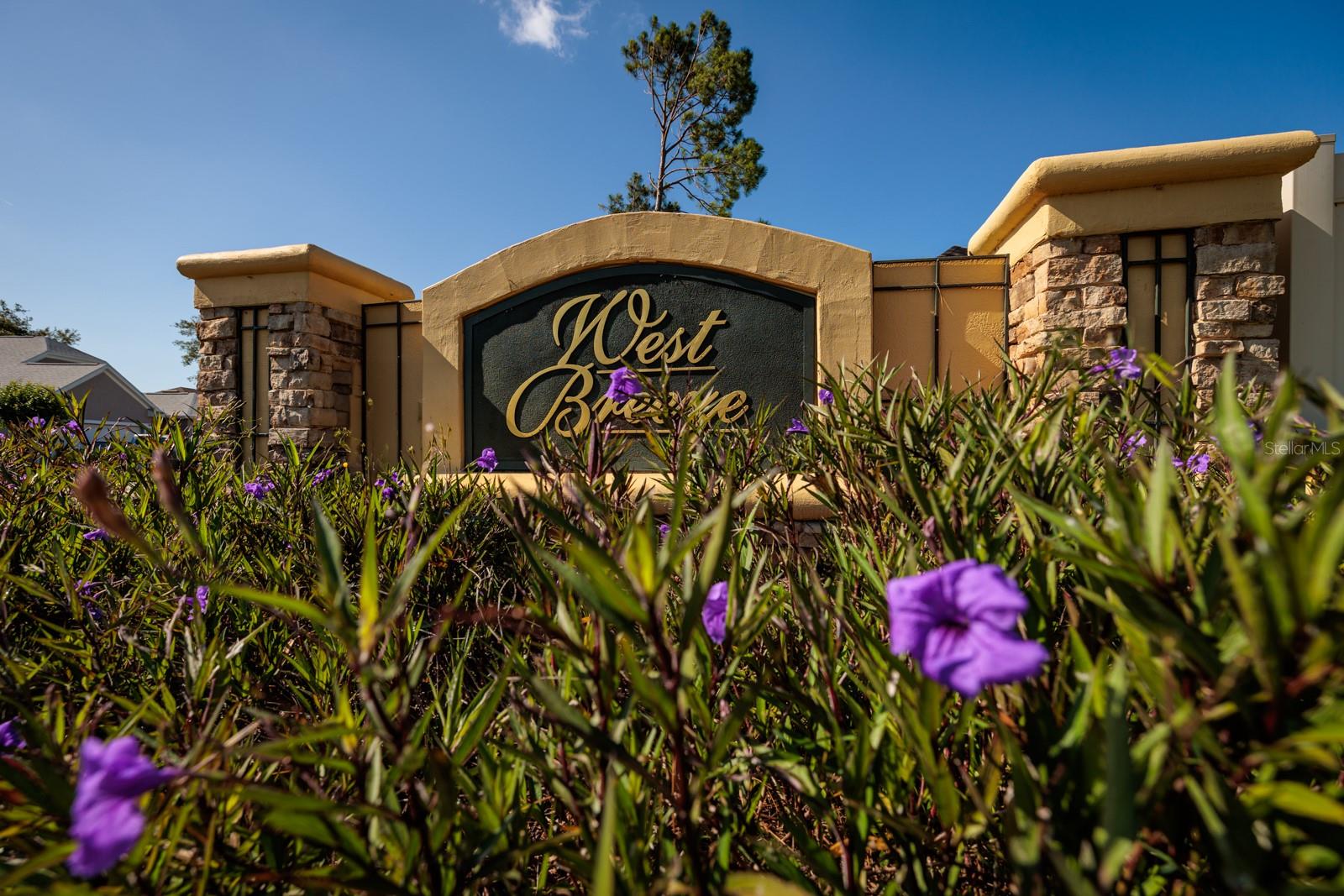 4997 W BREEZE CIR, PALM HARBOR, FL, 34683