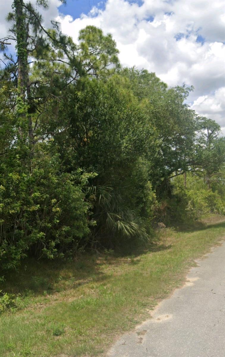 617 FITCH AVE, LEHIGH ACRES, FL, 33972