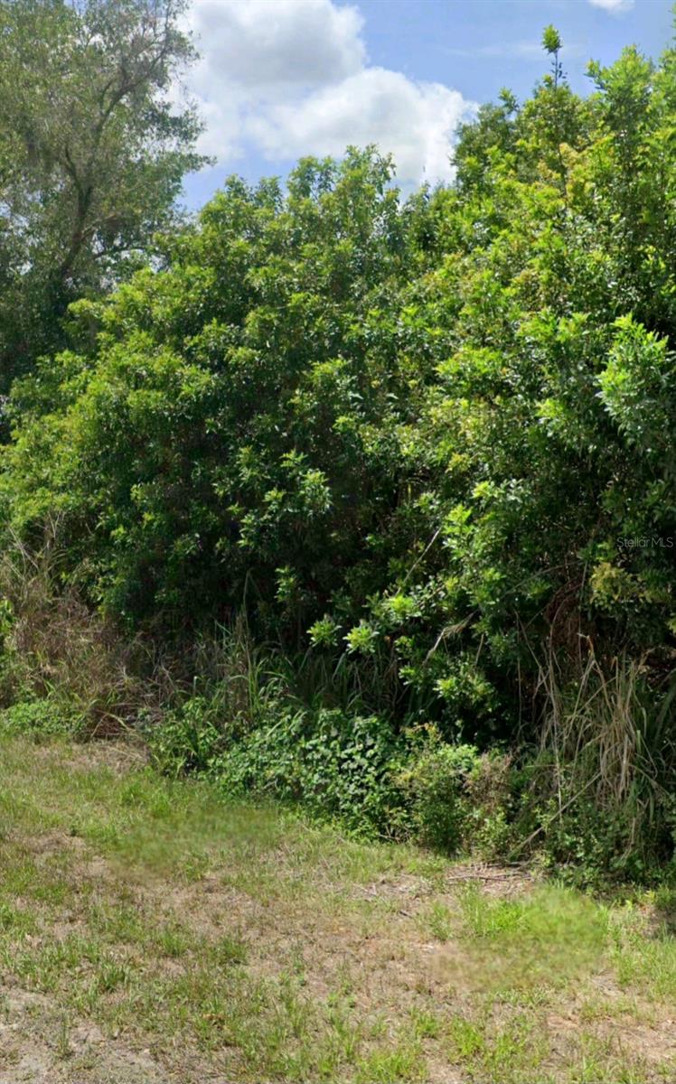 617 FITCH AVE, LEHIGH ACRES, FL, 33972