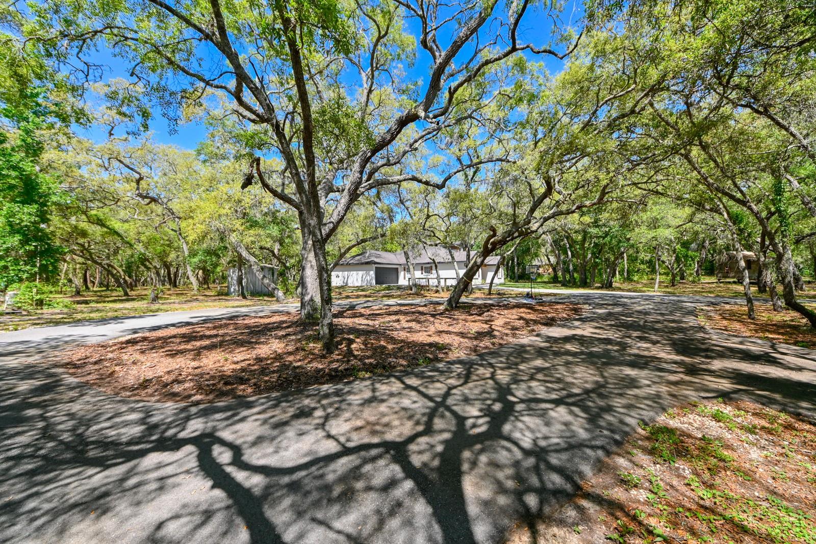 17351 MAGGIE CT, SPRING HILL, FL, 34610