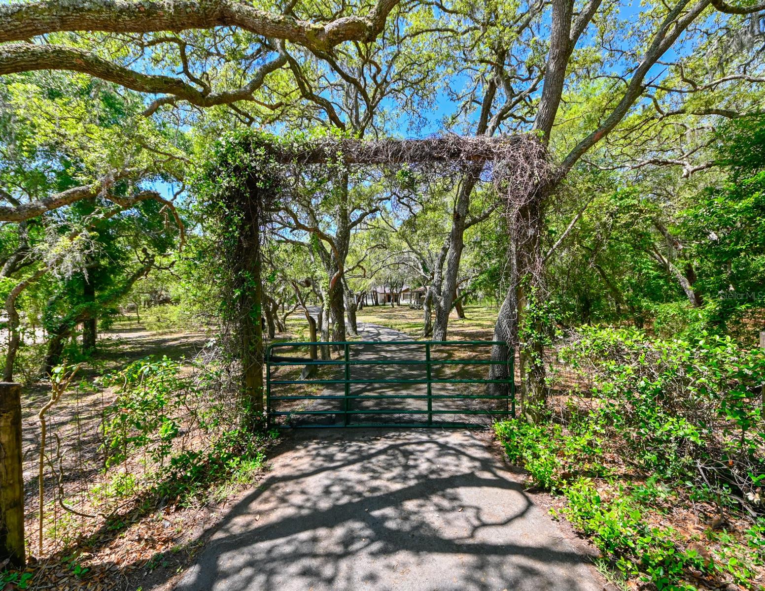 17351 MAGGIE CT, SPRING HILL, FL, 34610