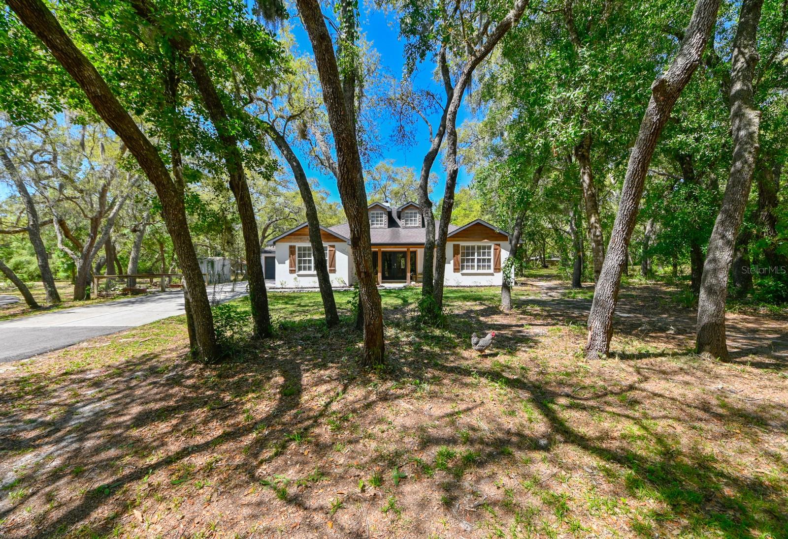 17351 MAGGIE CT, SPRING HILL, FL, 34610