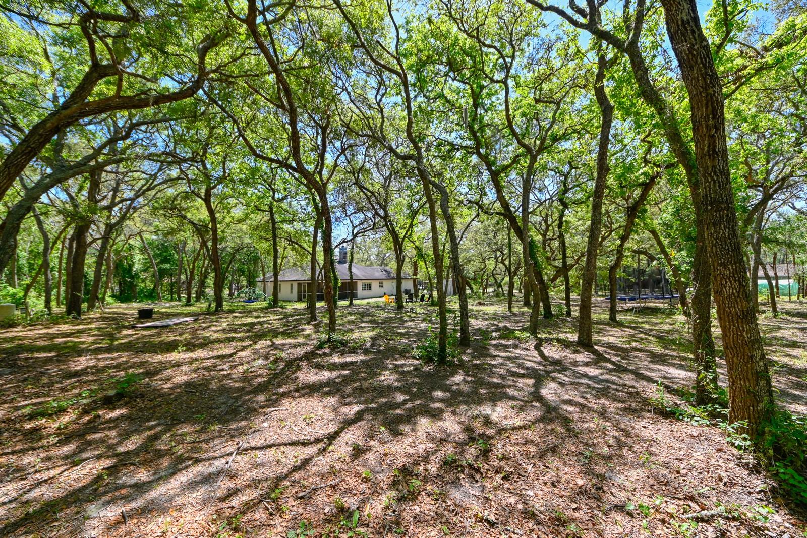 17351 MAGGIE CT, SPRING HILL, FL, 34610