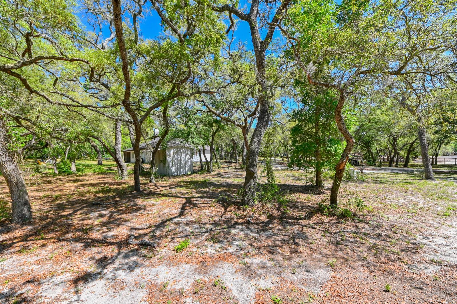 17351 MAGGIE CT, SPRING HILL, FL, 34610