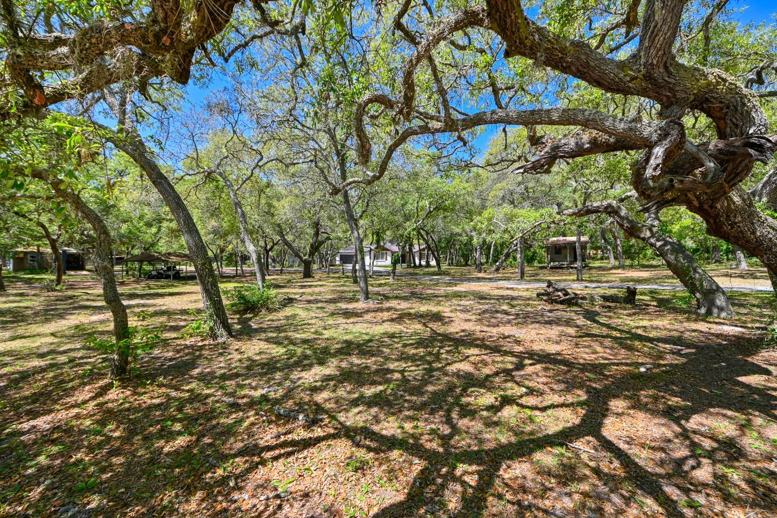 17351 MAGGIE CT, SPRING HILL, FL, 34610