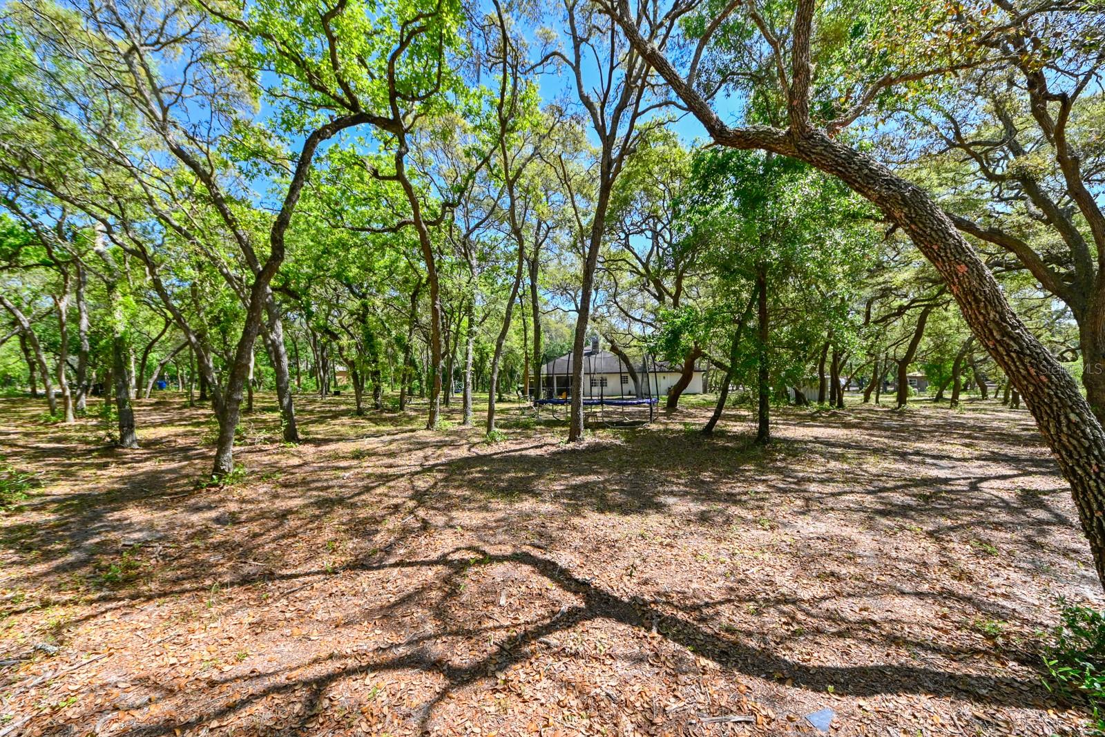 17351 MAGGIE CT, SPRING HILL, FL, 34610