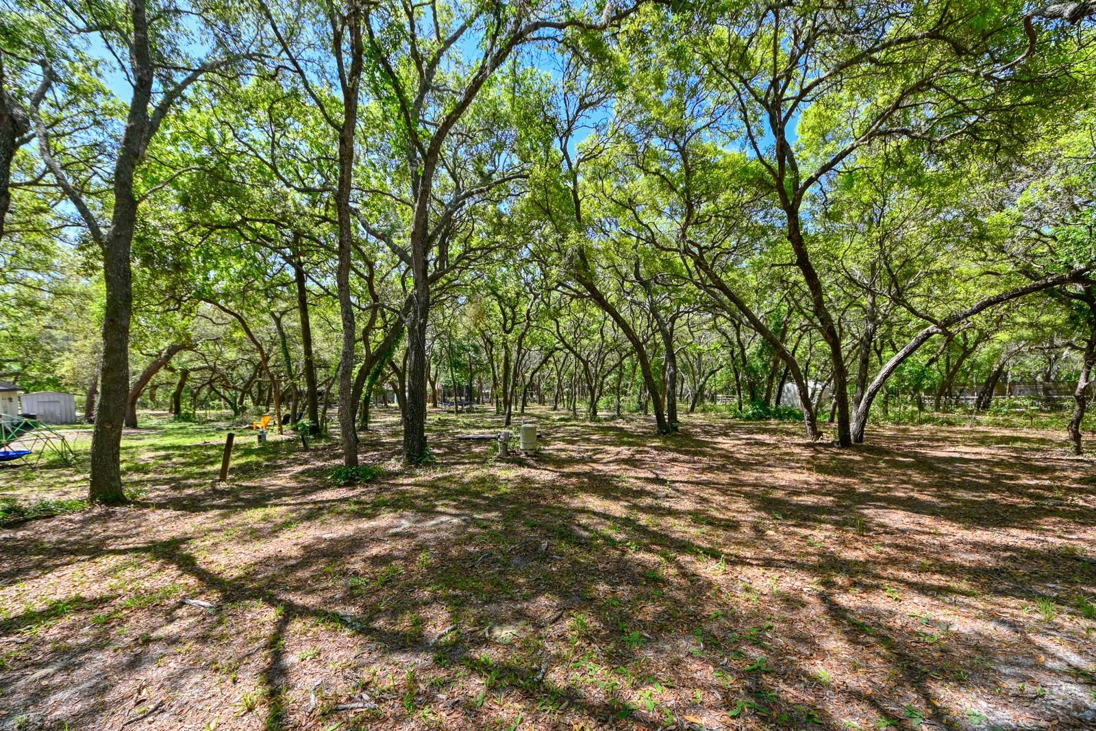 17351 MAGGIE CT, SPRING HILL, FL, 34610