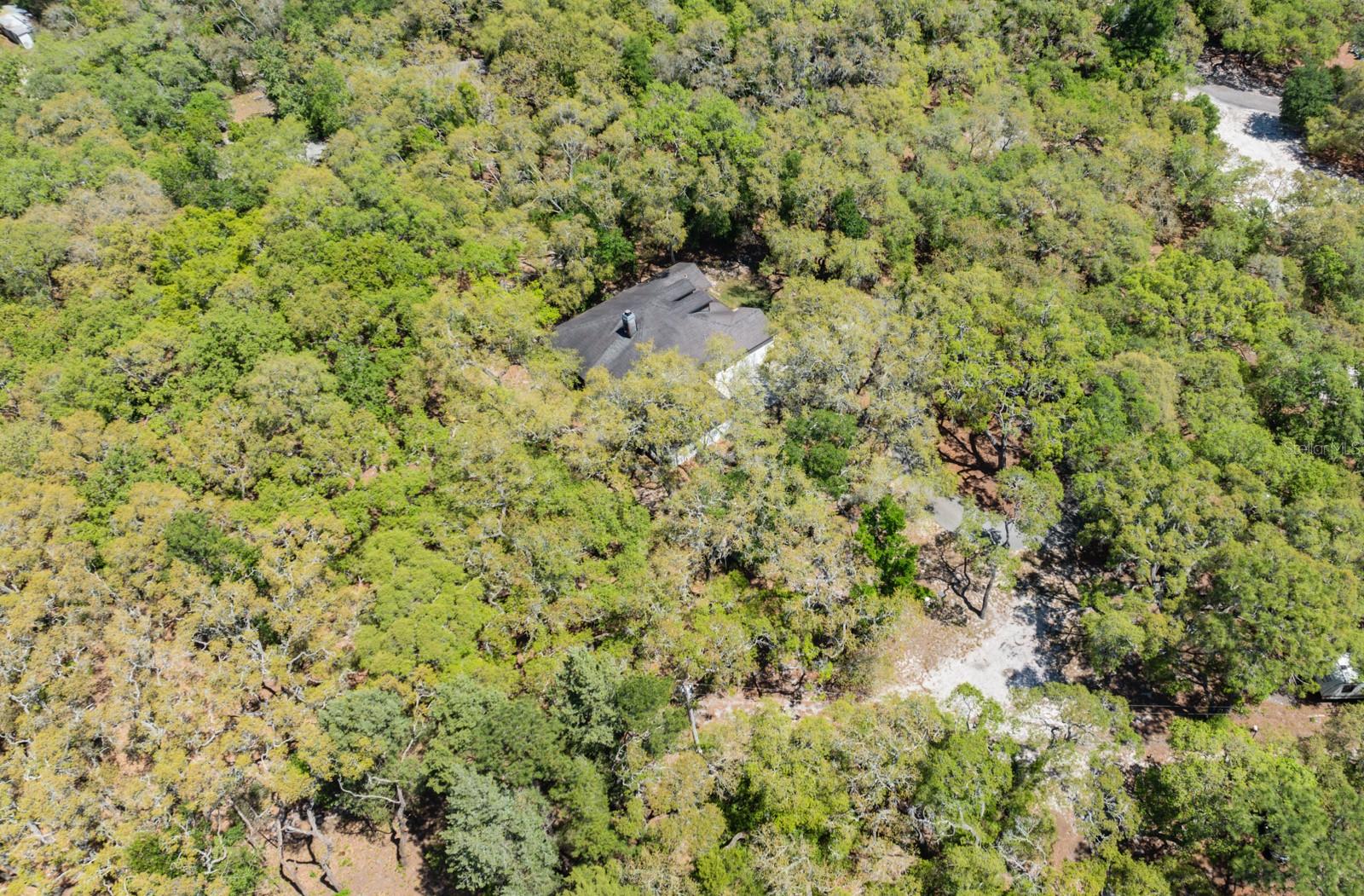 17351 MAGGIE CT, SPRING HILL, FL, 34610