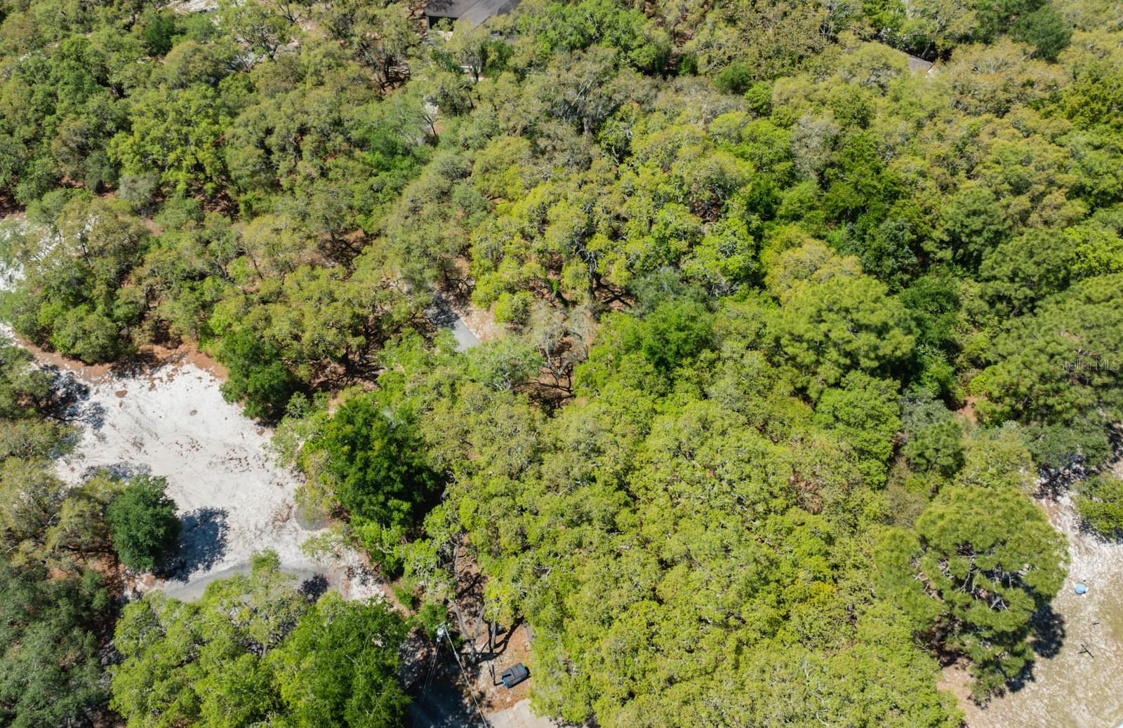 17351 MAGGIE CT, SPRING HILL, FL, 34610