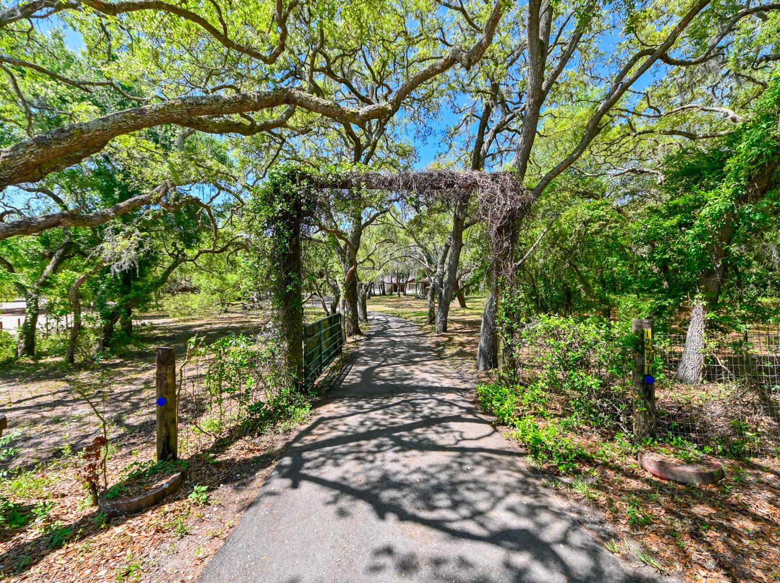 17351 MAGGIE CT, SPRING HILL, FL, 34610