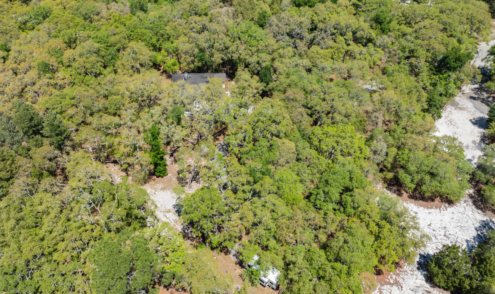 17351 MAGGIE CT, SPRING HILL, FL, 34610