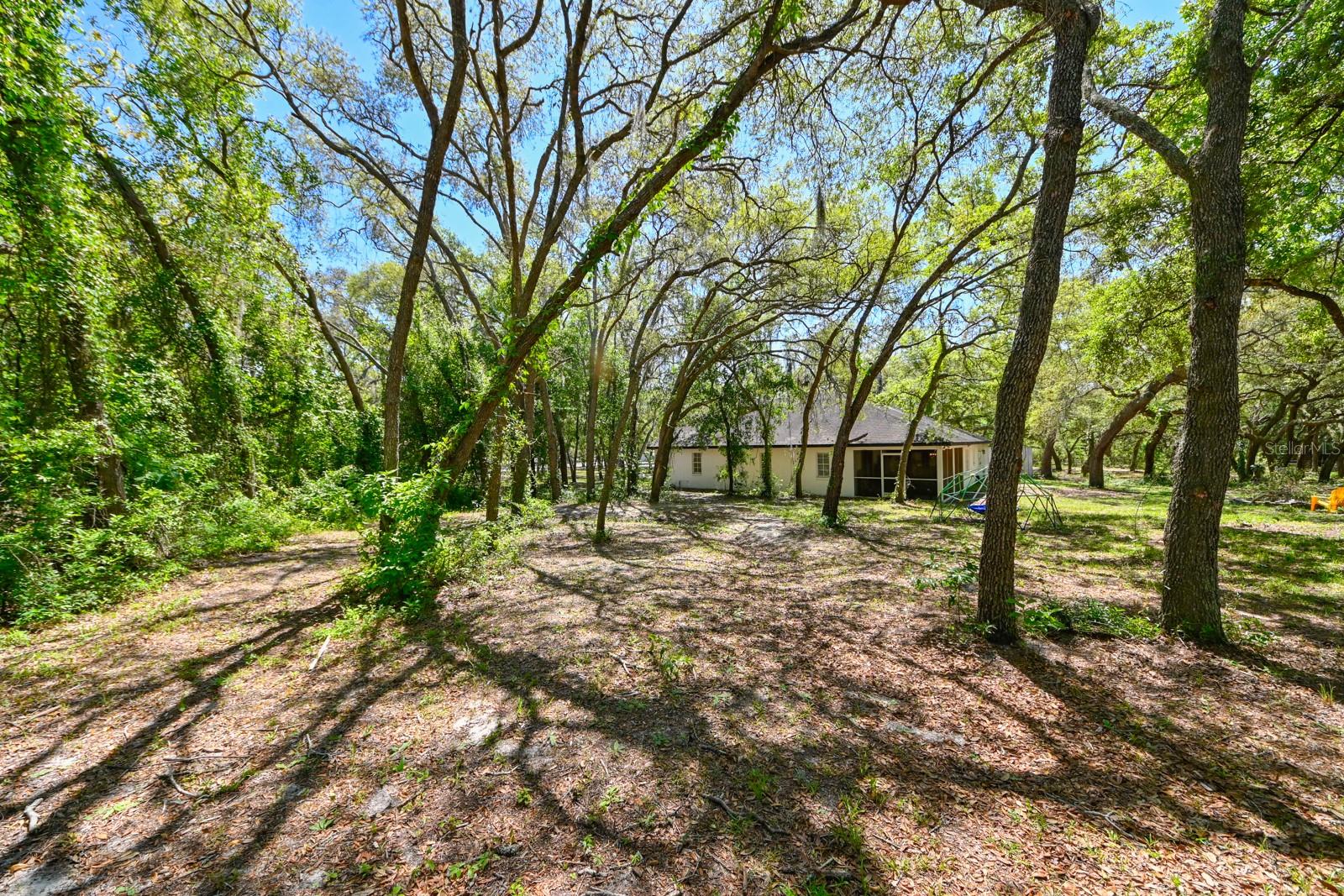 17351 MAGGIE CT, SPRING HILL, FL, 34610