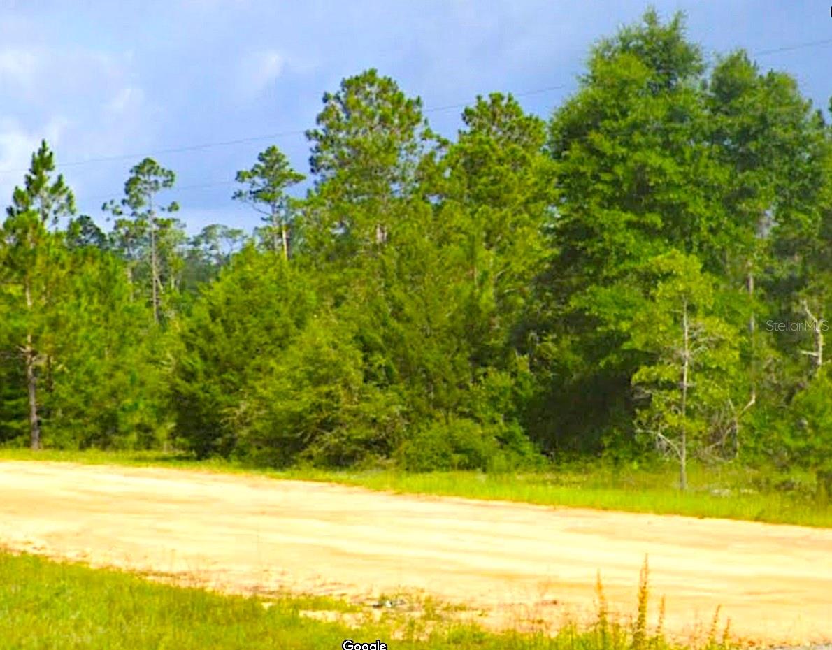 CLEVELAND DR, ALFORD, FL, 32420