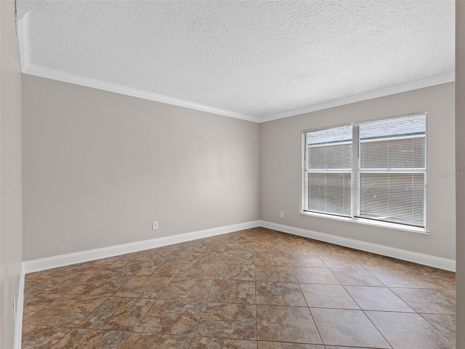 908 STALLION WAY, VALRICO, FL, 33594