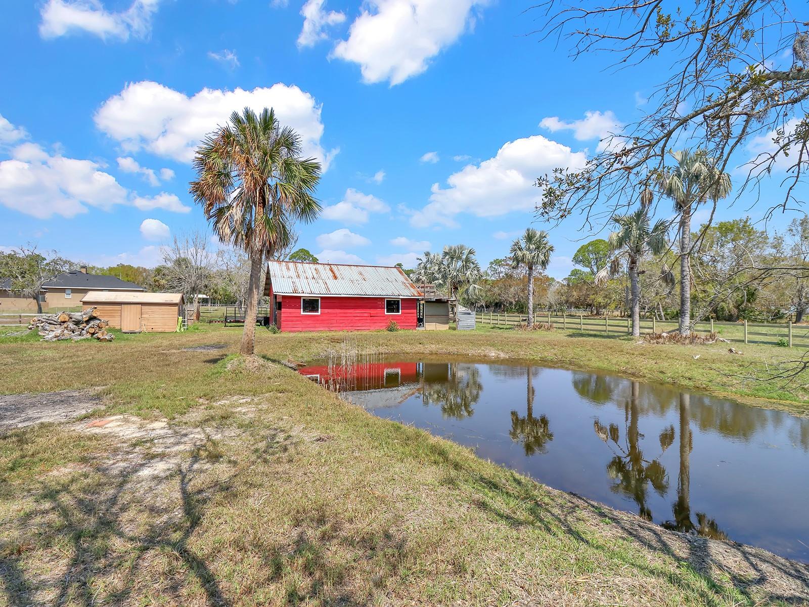 8123 DOUBLE BRANCH RD, TAMPA, FL, 33635