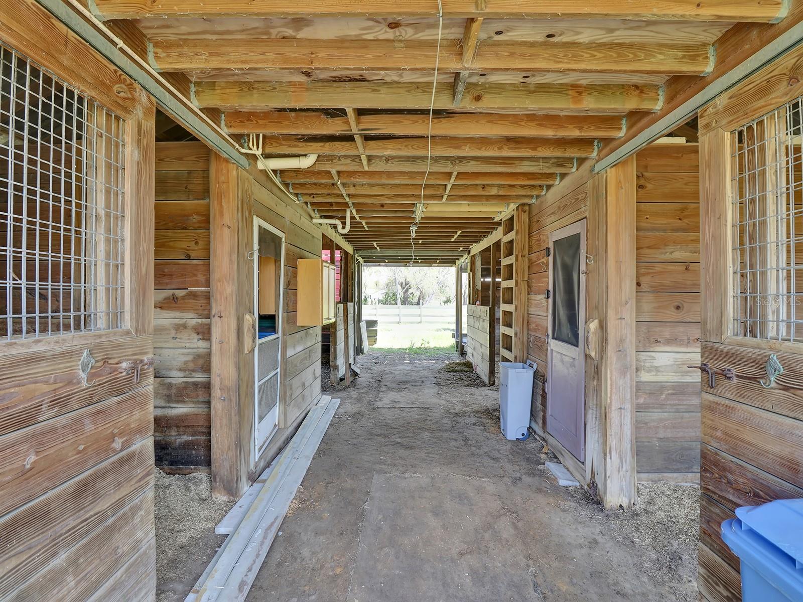 8123 DOUBLE BRANCH RD, TAMPA, FL, 33635