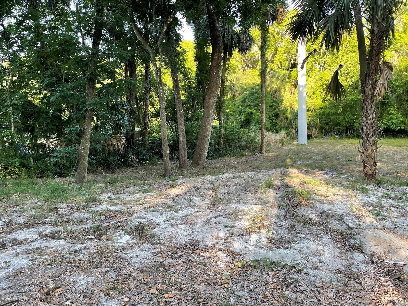 PARK AVE, DE LEON SPRINGS, FL, 32130