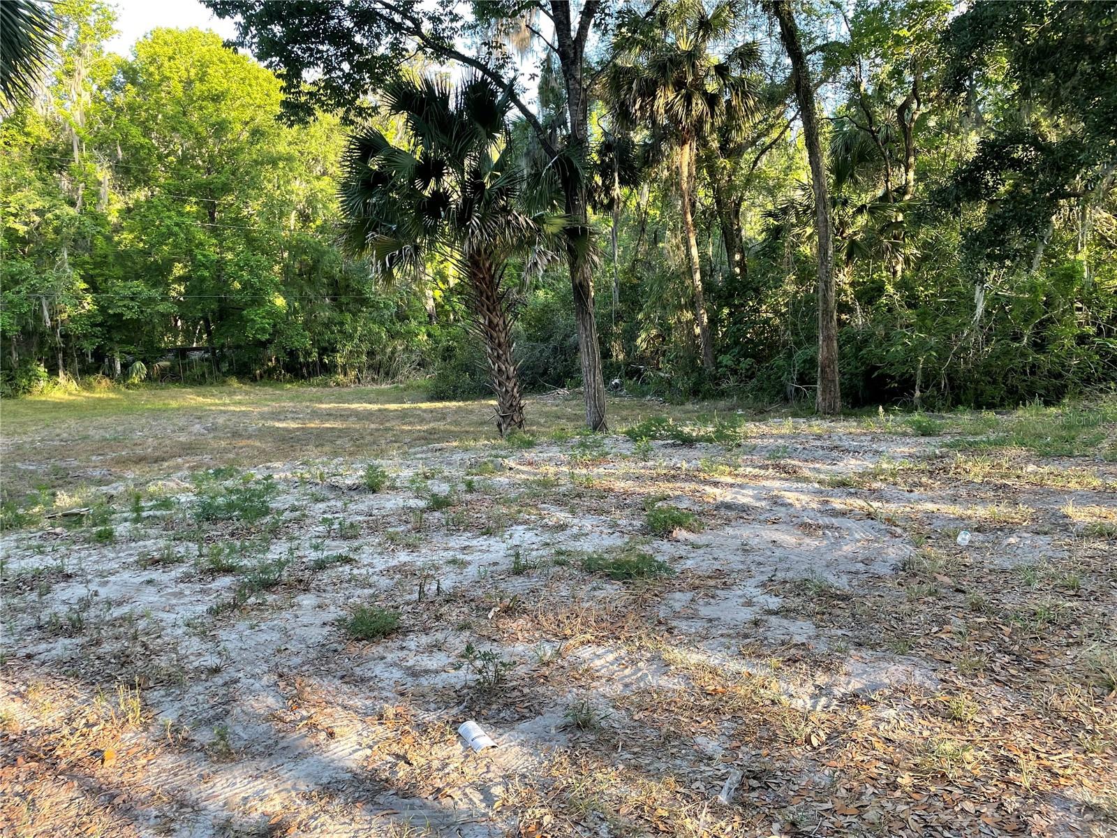 PARK AVE, DE LEON SPRINGS, FL, 32130