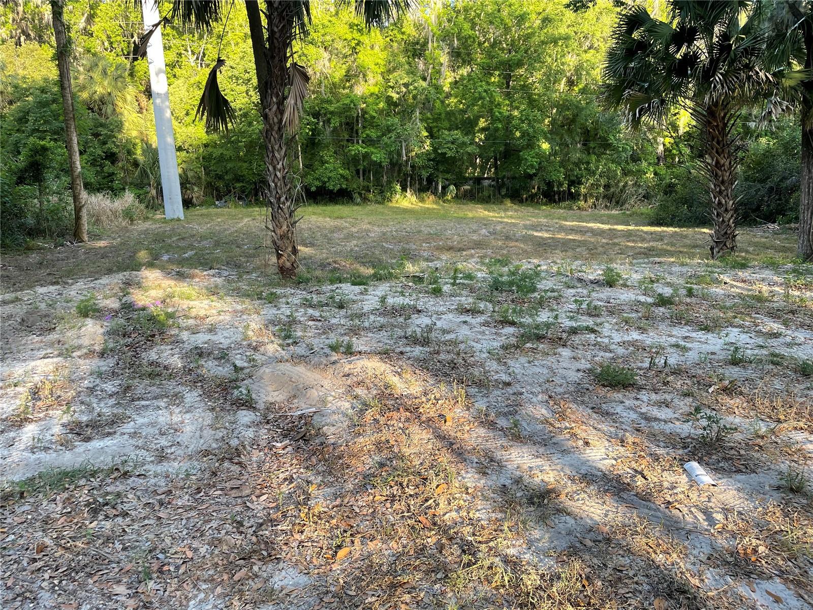 PARK AVE, DE LEON SPRINGS, FL, 32130