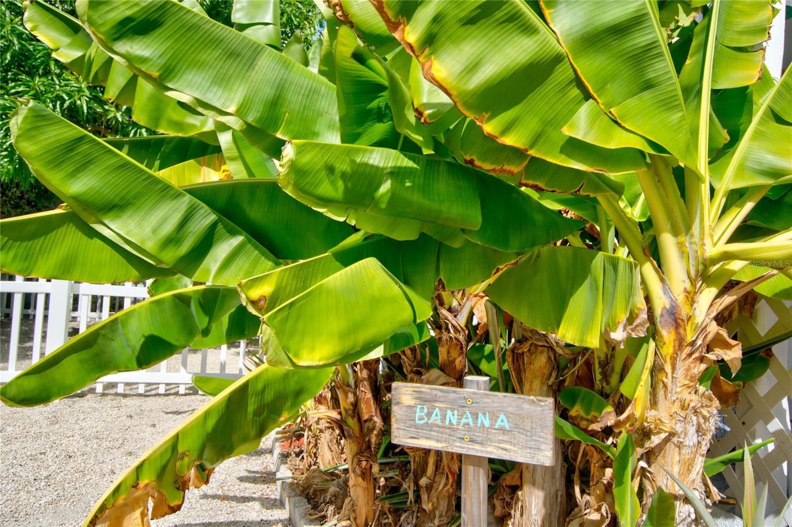 2121 YELLOWTAIL DR, MARATHON, FL, 33050