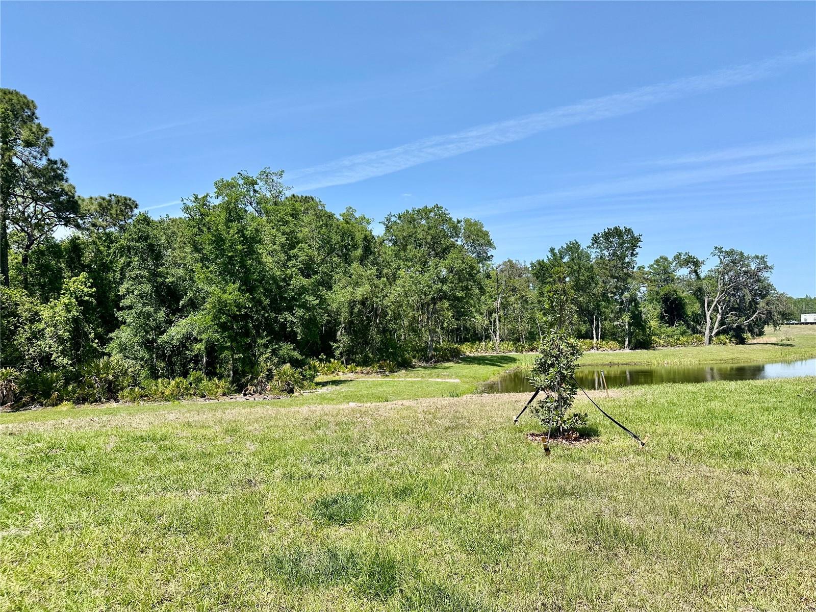 10185 GENTLE RAIN DR, LAND O LAKES, FL, 34638