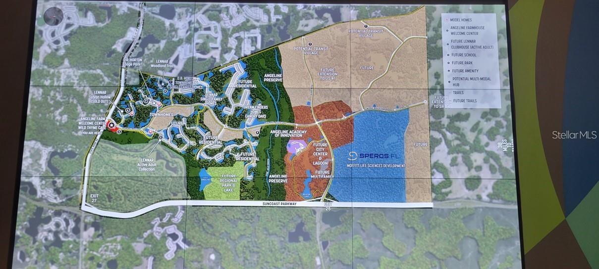 10185 GENTLE RAIN DR, LAND O LAKES, FL, 34638