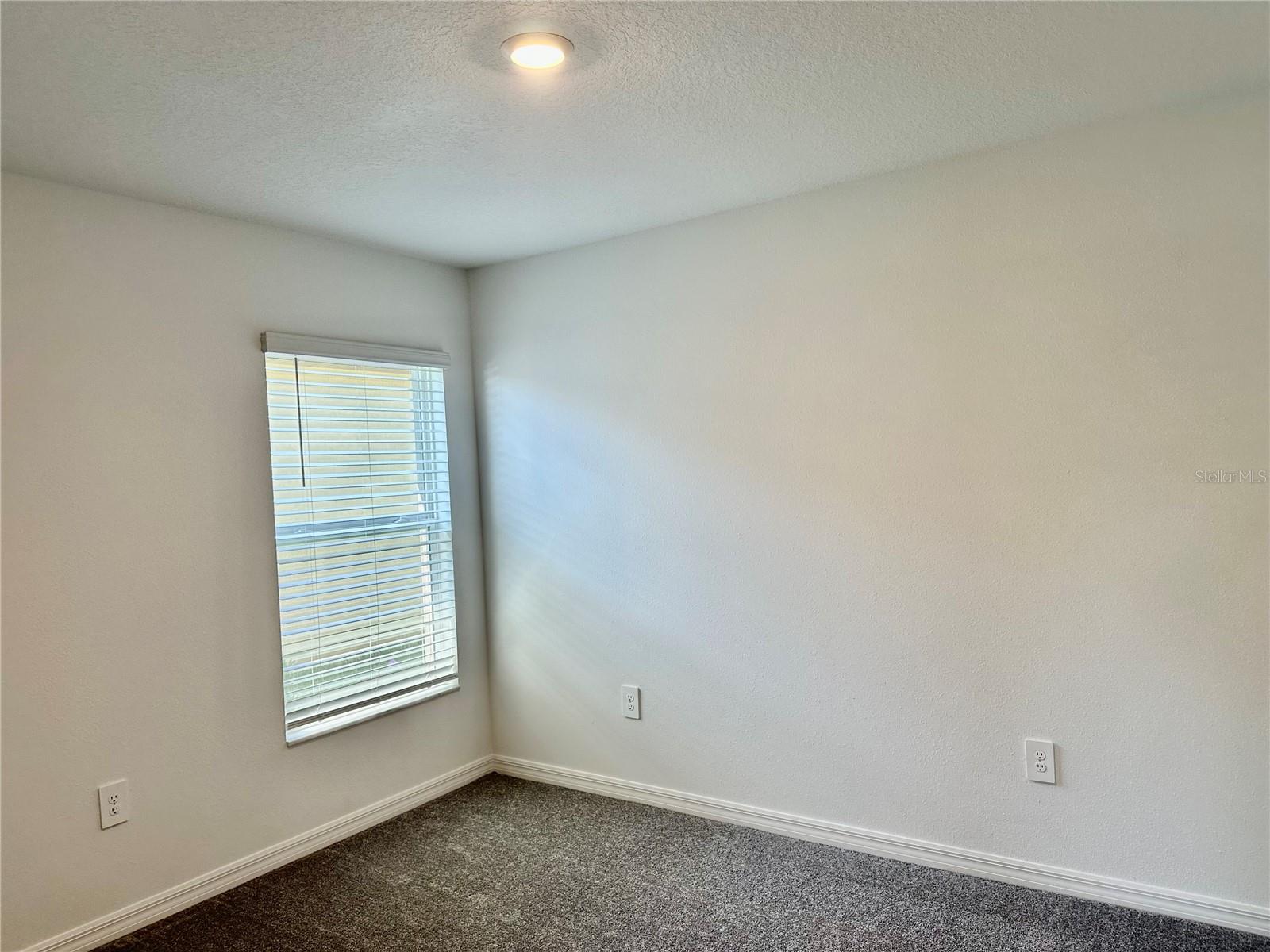 10185 GENTLE RAIN DR, LAND O LAKES, FL, 34638