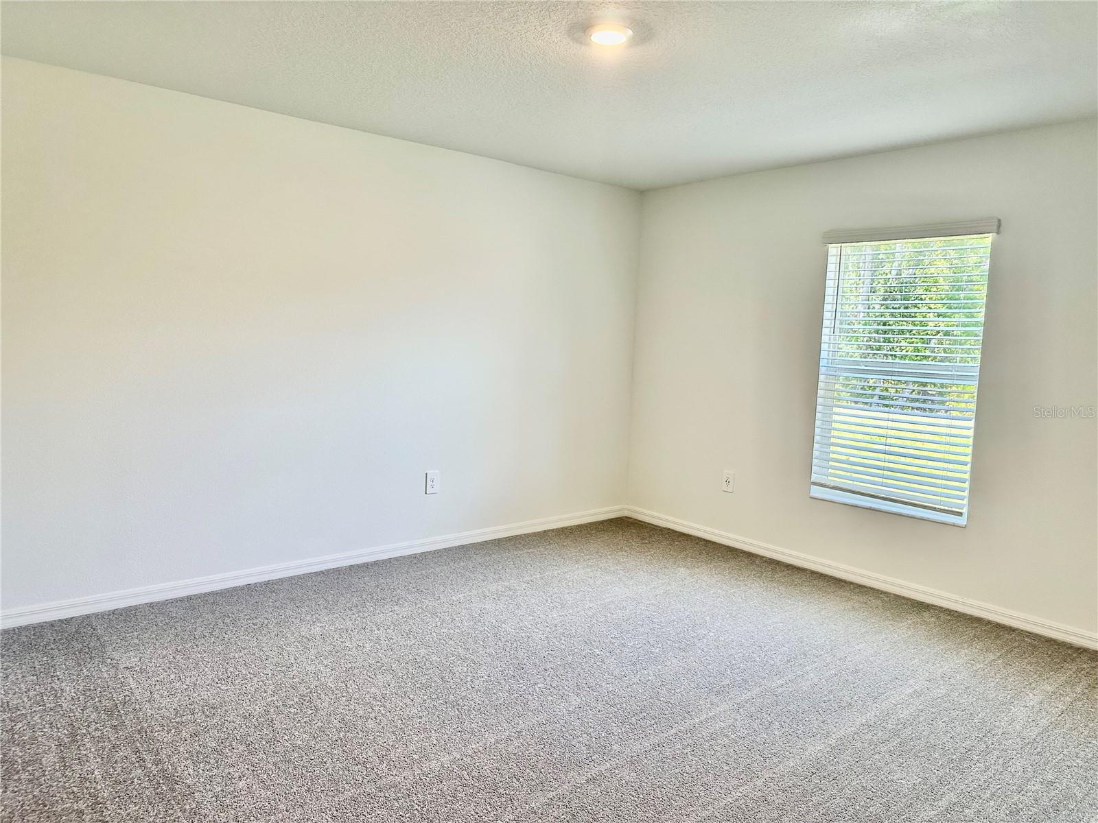 10185 GENTLE RAIN DR, LAND O LAKES, FL, 34638