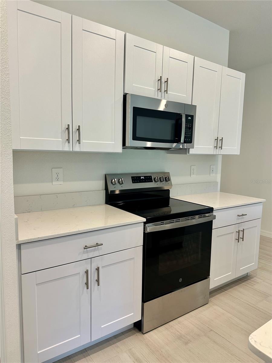 10185 GENTLE RAIN DR, LAND O LAKES, FL, 34638