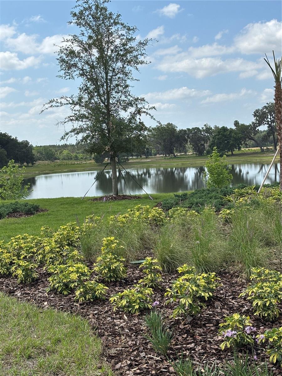 1995 STAKE OUT WAY, APOPKA, FL, 32703