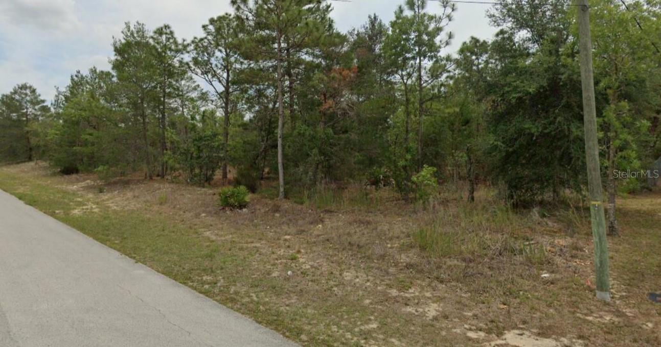 2496 W PARAGON LN, CITRUS SPRINGS, FL, 34434