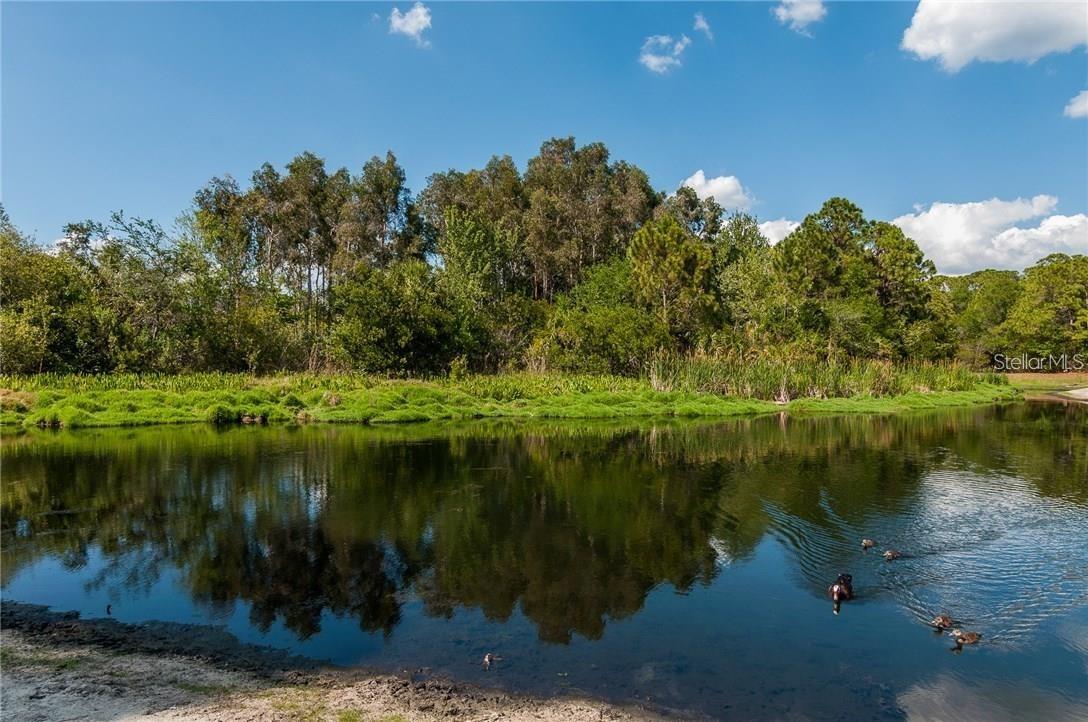 1400 GANDY BLVD N #708, ST PETERSBURG, FL, 33702