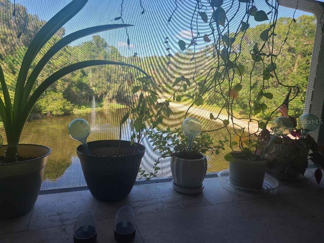 1400 GANDY BLVD N #708, ST PETERSBURG, FL, 33702