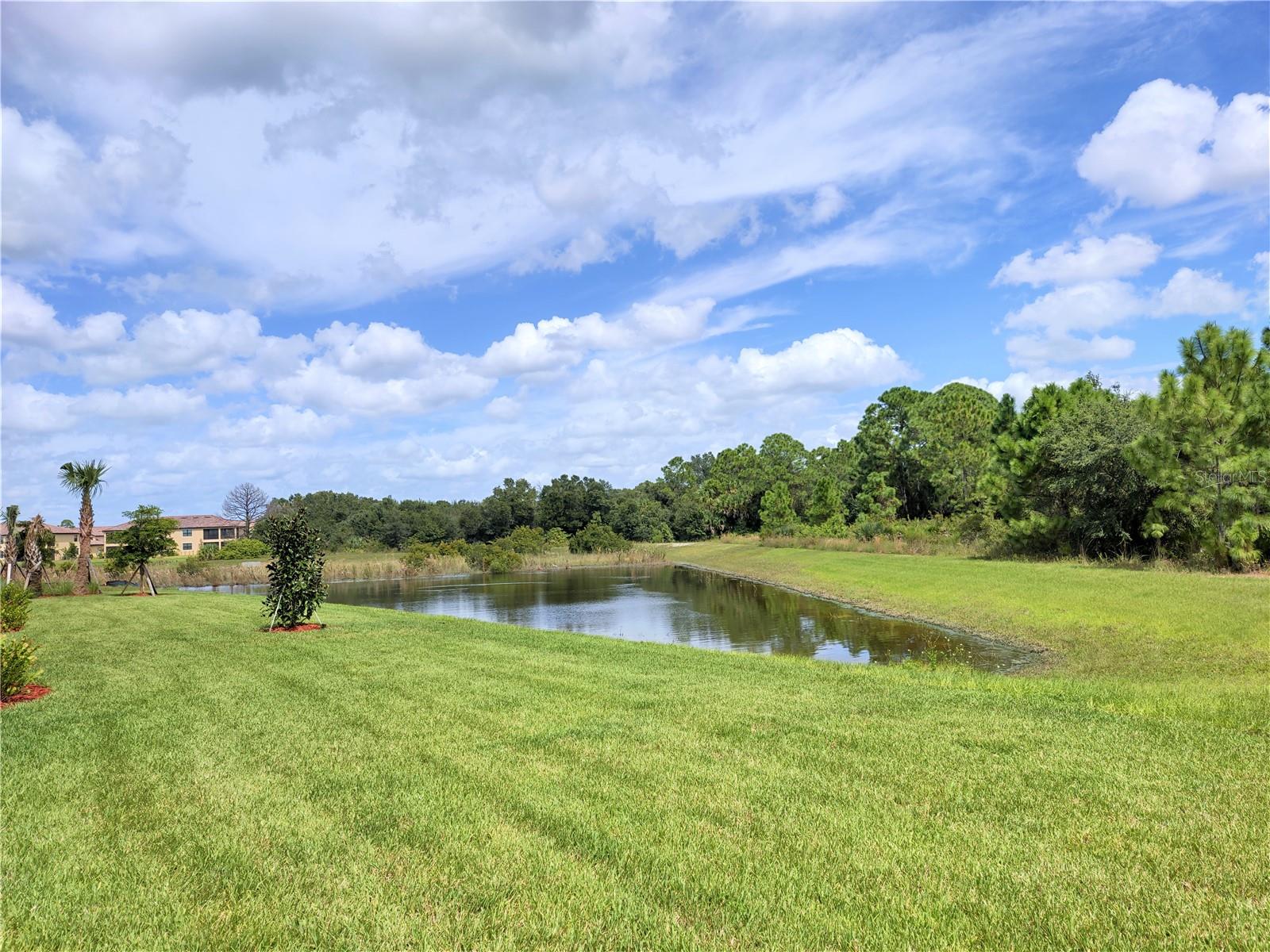 20328 LAGENTE CIR, VENICE, FL, 34293